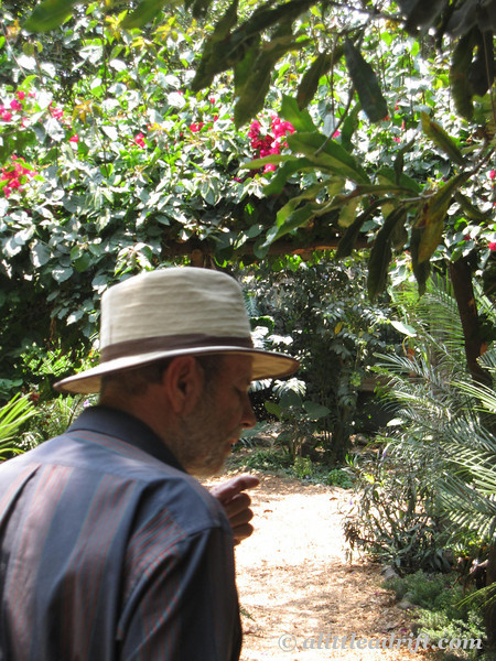 Lorenzo from Valhalla Nut Farm