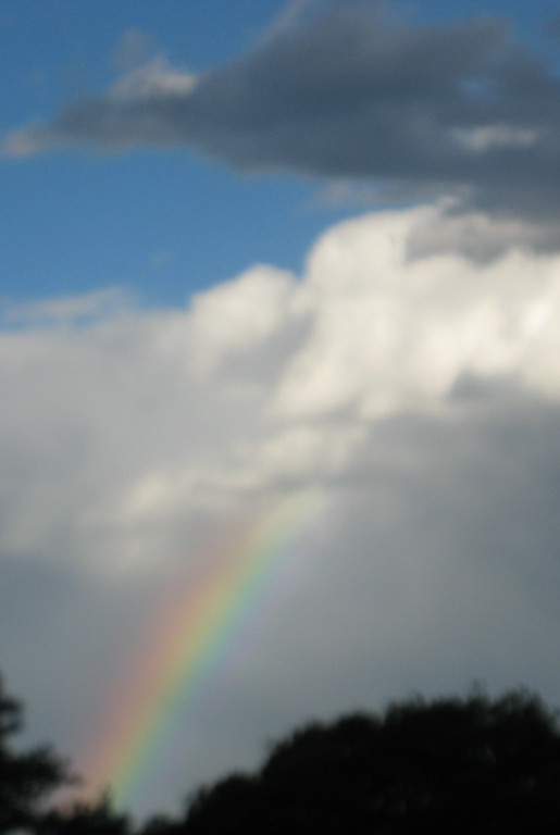 rainbow over sydney