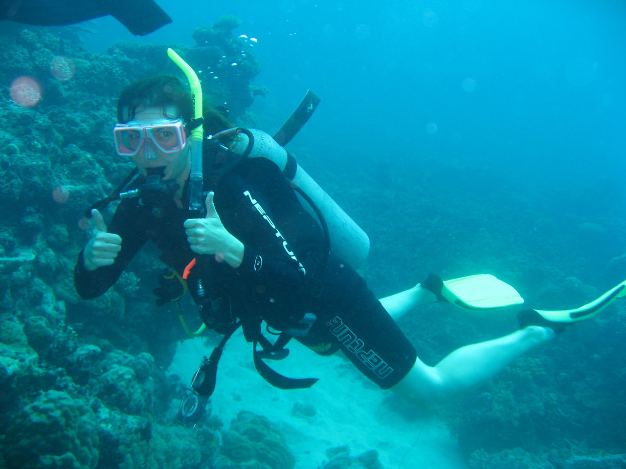scuba diving is not covered by all of the travel insurance policies, but it is covered by World Nomads.