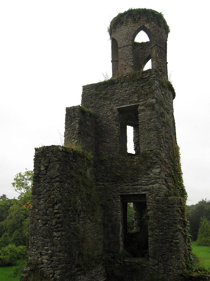 moss on a castle
