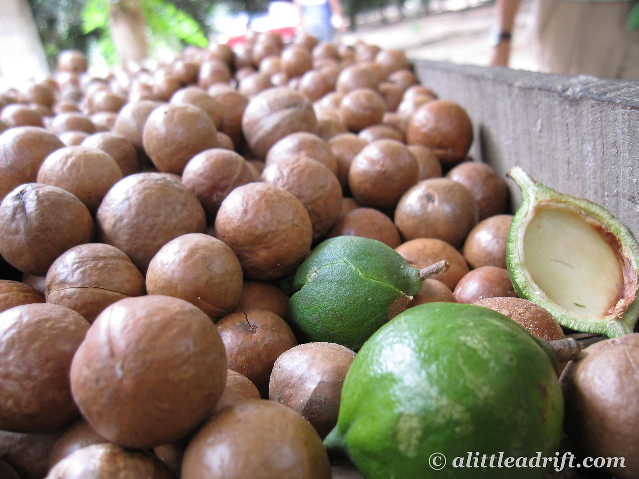valhalla macadamia nuts antigua