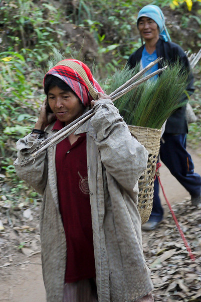 Woman returning from a day at work, Akha Ama coffee village near Chiang Mai, Thailand.