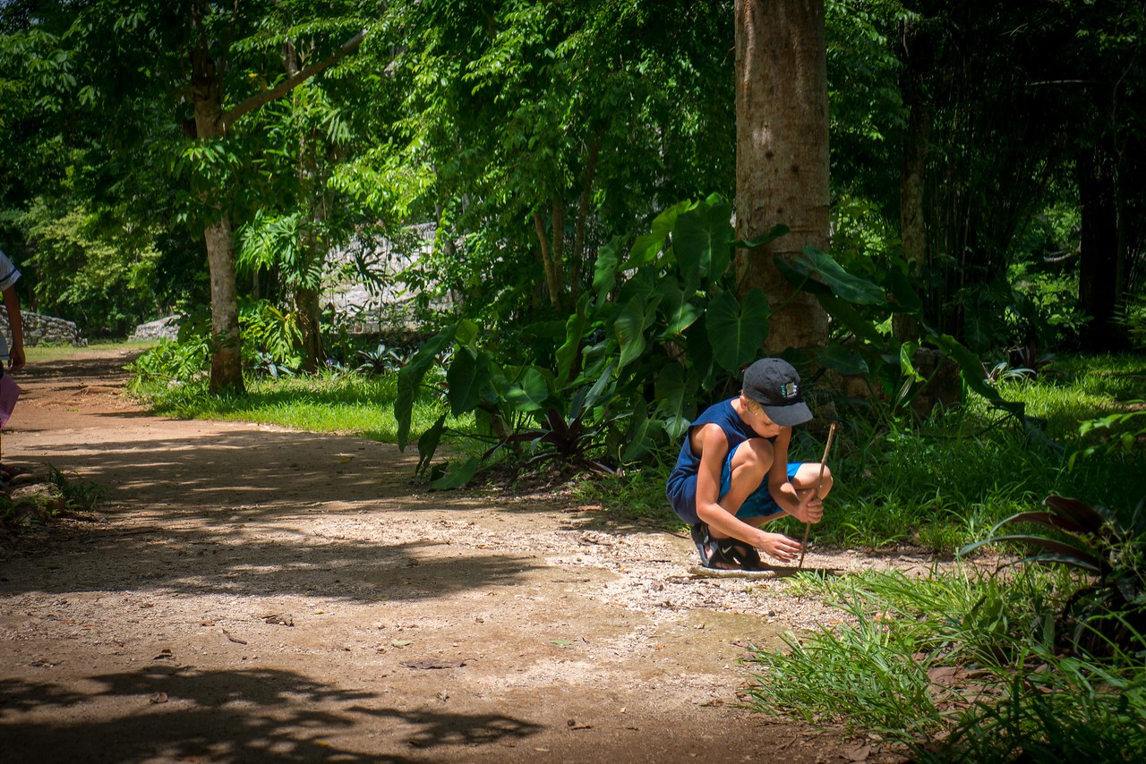 jungles around maya ruins chichen itza
