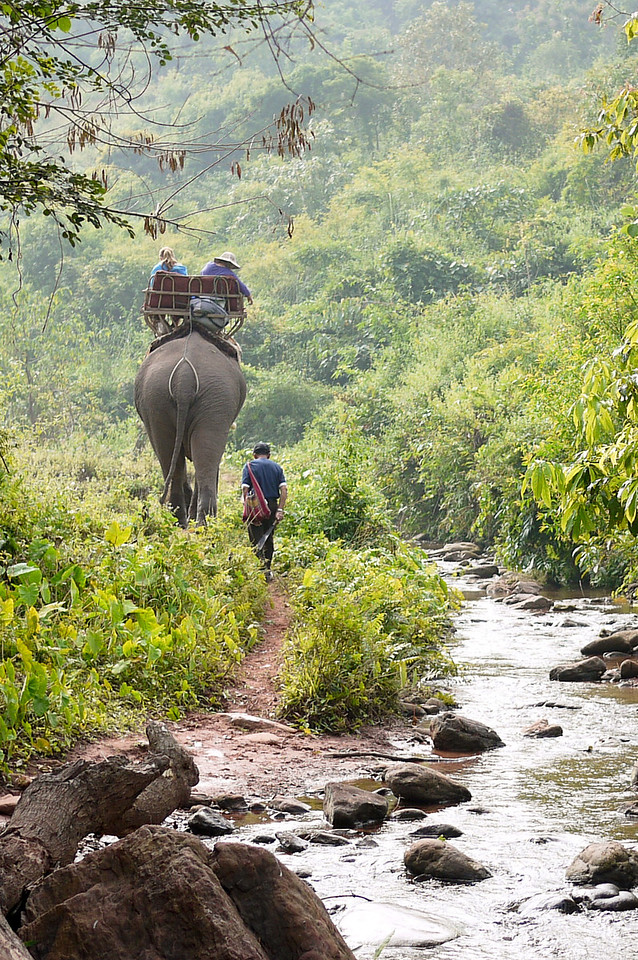 ethical elephant tourism