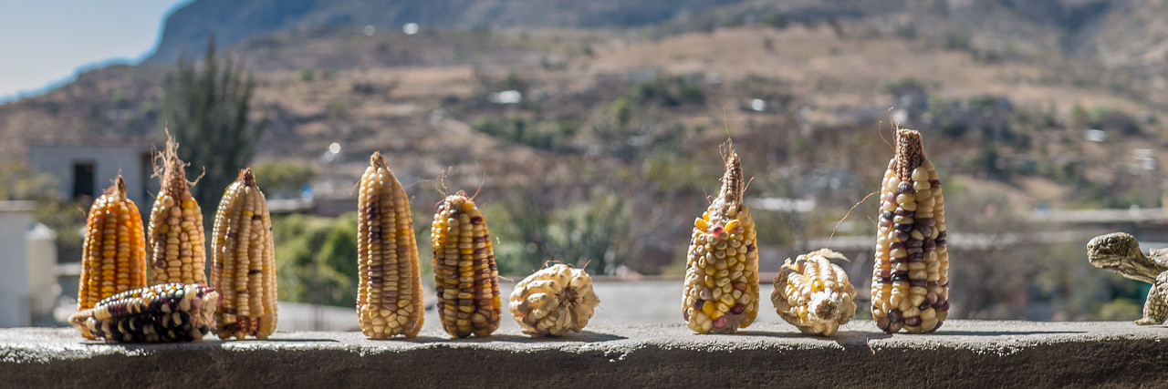 Oaxaca Valley, Mexico