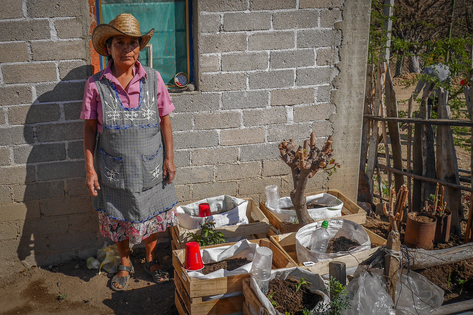 The En Via Microfinance program Eulalia with her organic garden.