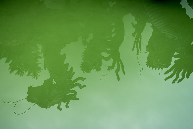 dragon reflections in the small pond