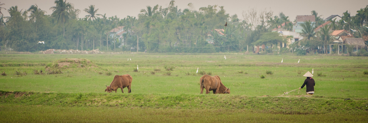 responsible travel vietnam 