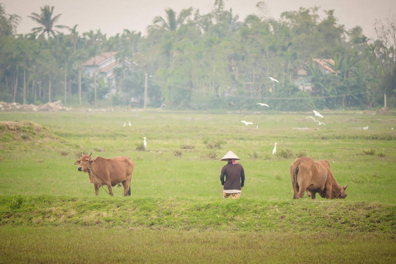 farmer in rural Vietnam