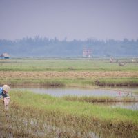 A Little Delight… Stories of Responsible Travel in Hoi An, Vietnam