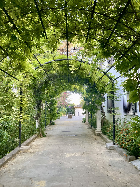leafy green vine-covered pergola walkway.