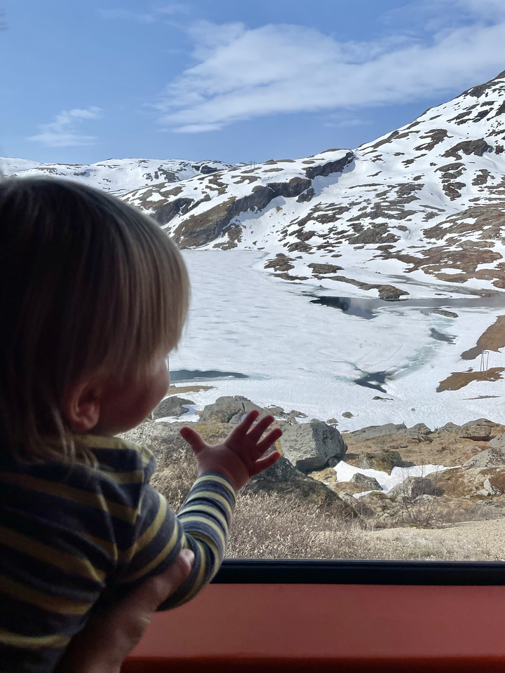 My son looks out the trainline at the snow above the treeline