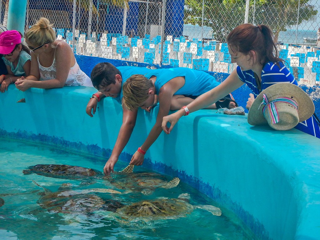 turtle farm isla mujeres