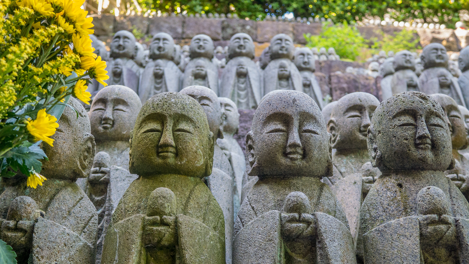 Hase-dera Temple in Kamakura, Japan