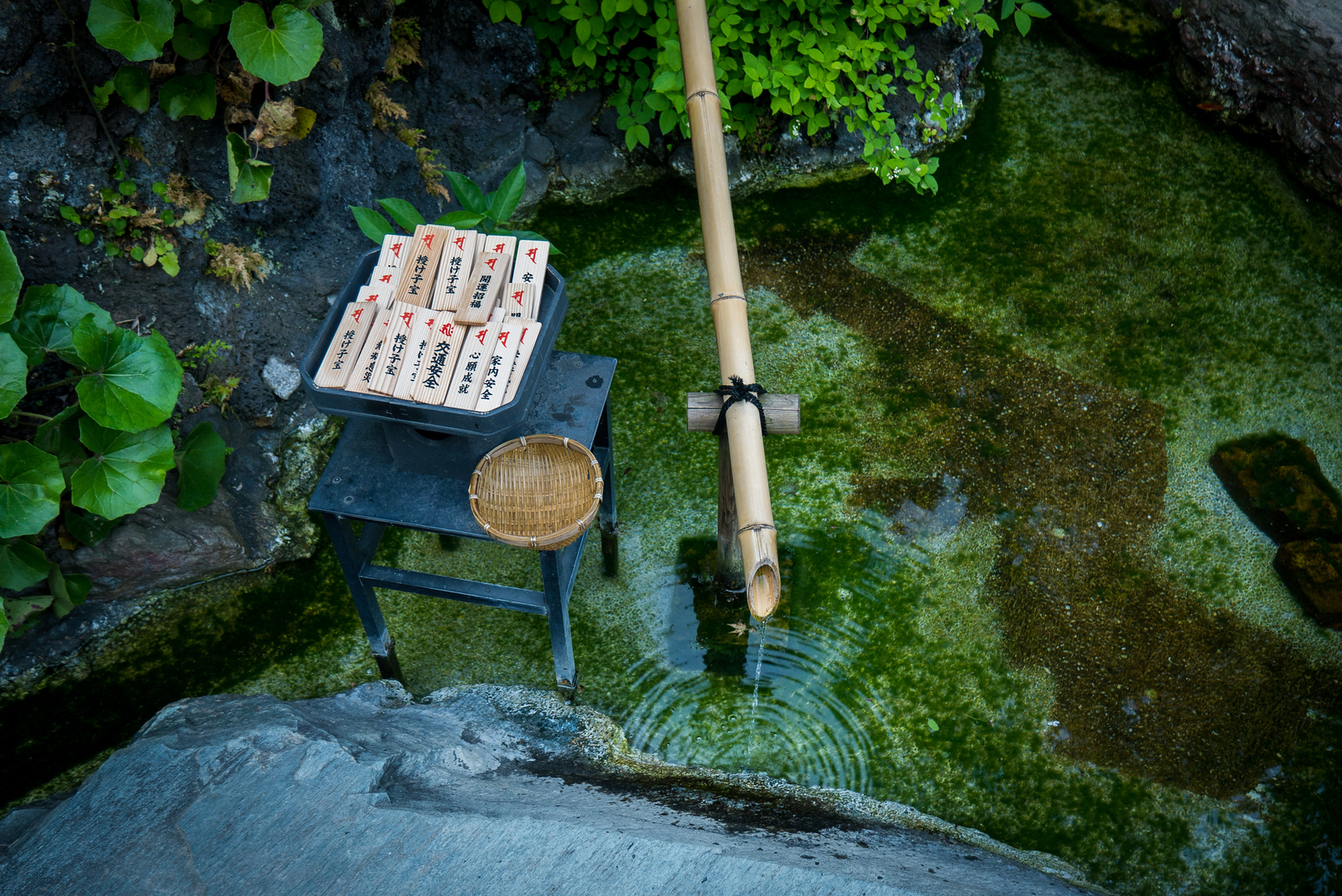 shrine at hase-dera temple kamakura