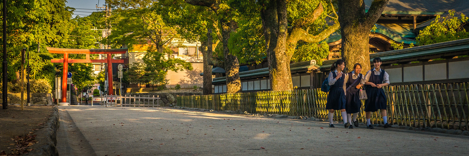 Tsurugaoka Hachiman-gū Temple