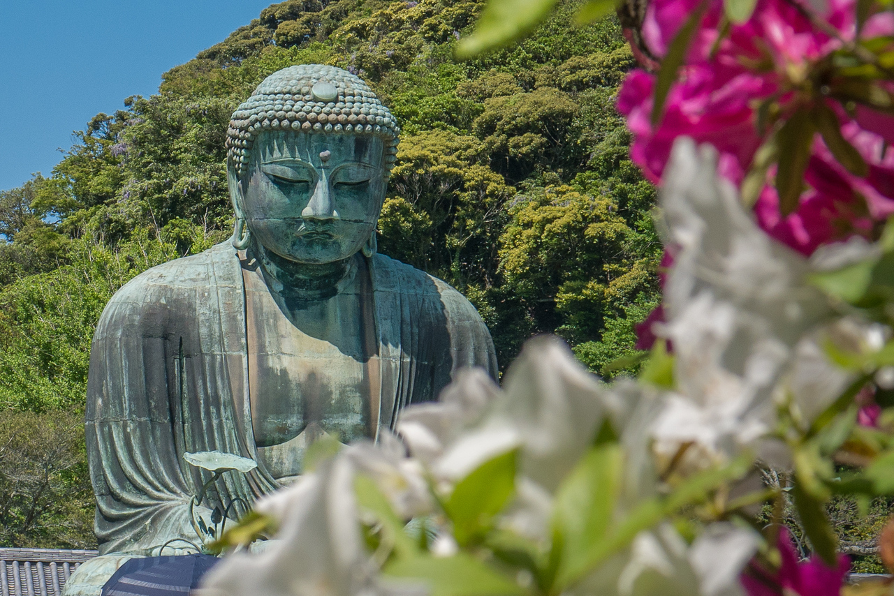 The Great Buddha of Kamakura (Daibutsu)