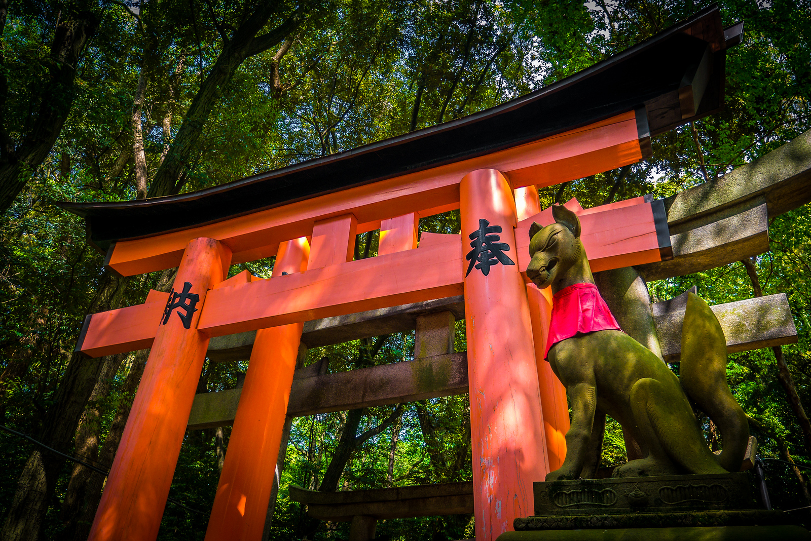 Orange torii gates at Fushimi Inari Shrine