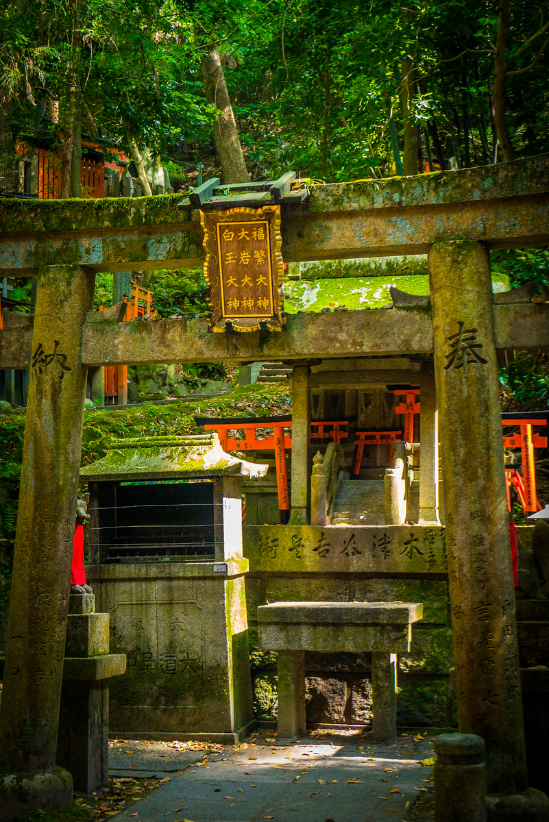 torii gates at Fushimi Inari Shrine