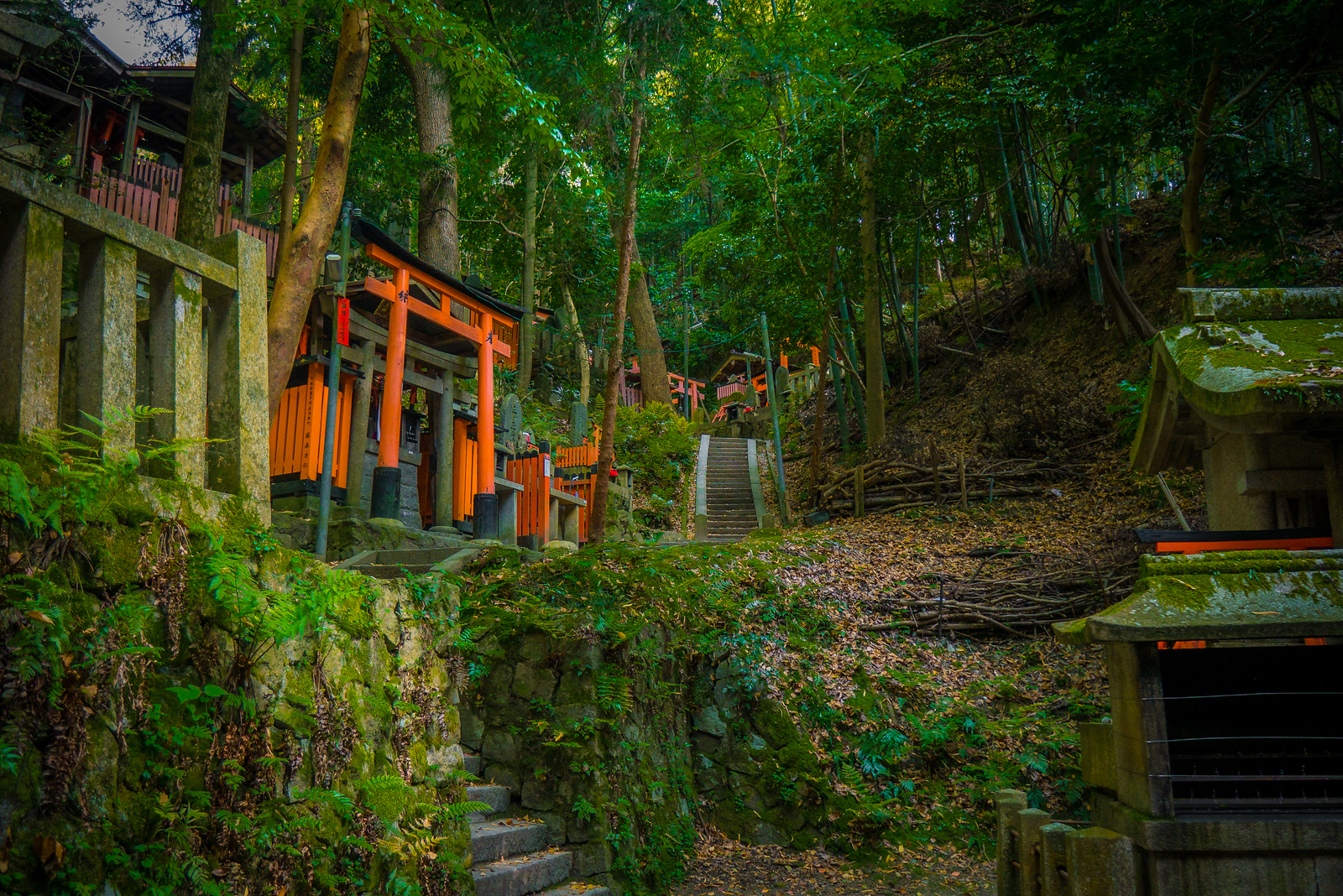 garden Fushimi Inari Shrine