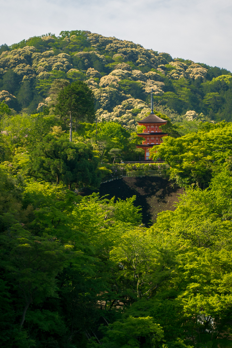 Views from the main balcony Kiyomizu-dera temple 