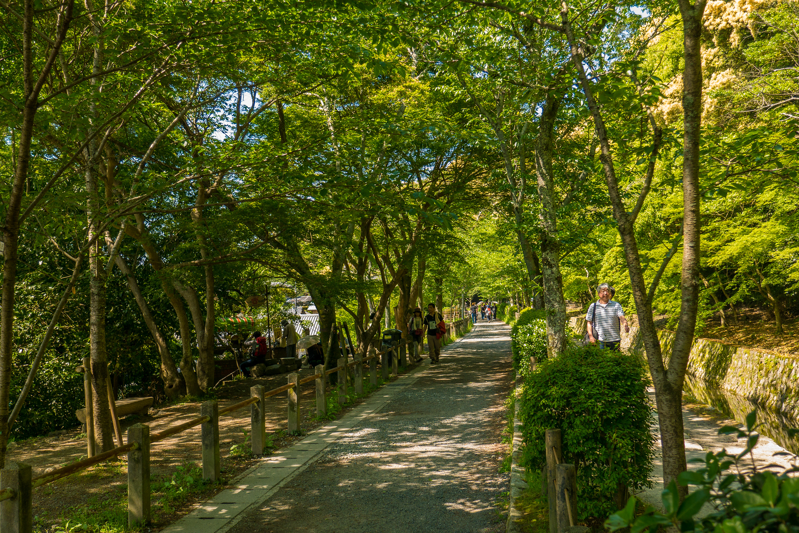 Path of Philosophy in Kyoto