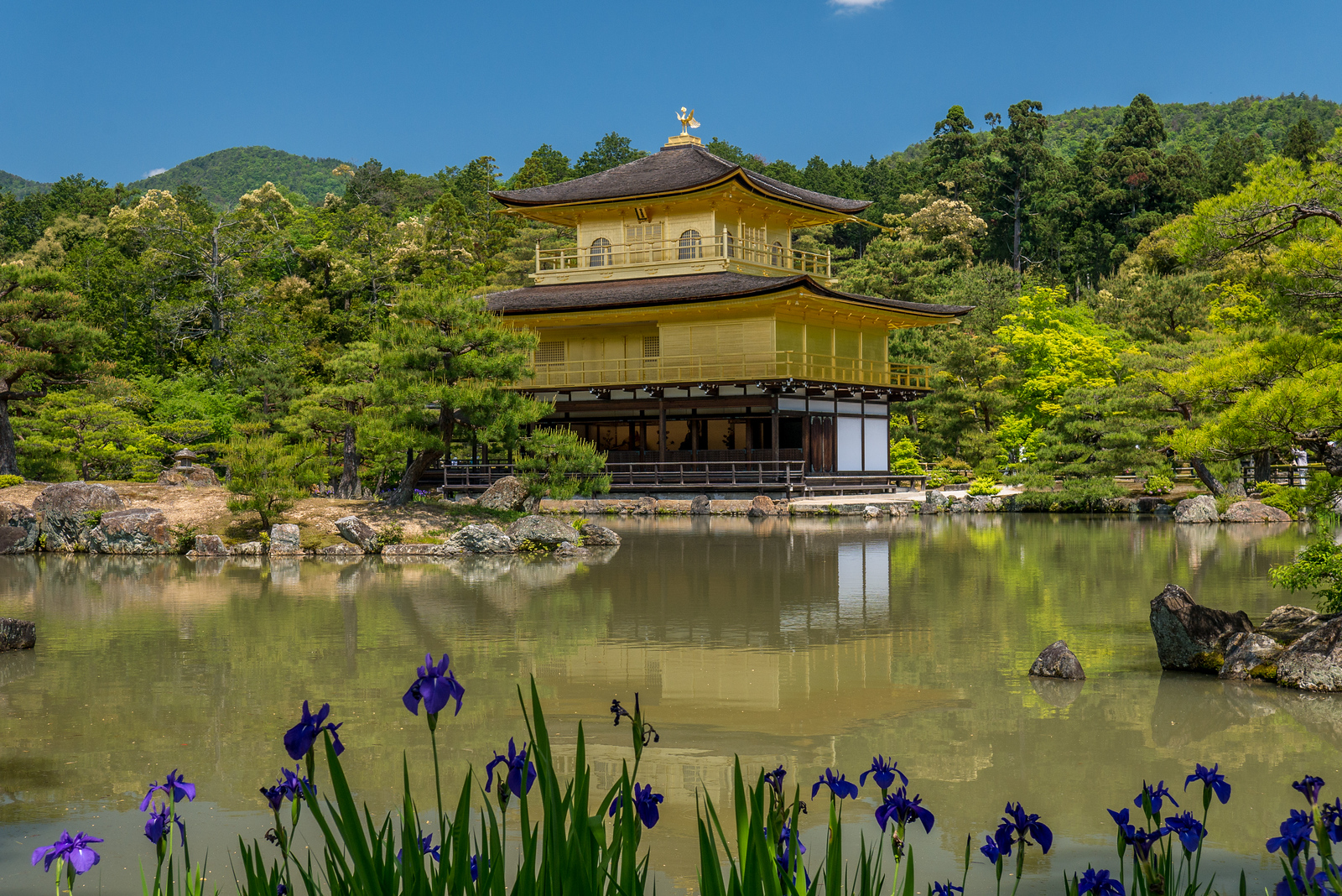 Kyoto's Golden Temple, Kinkaku-ji