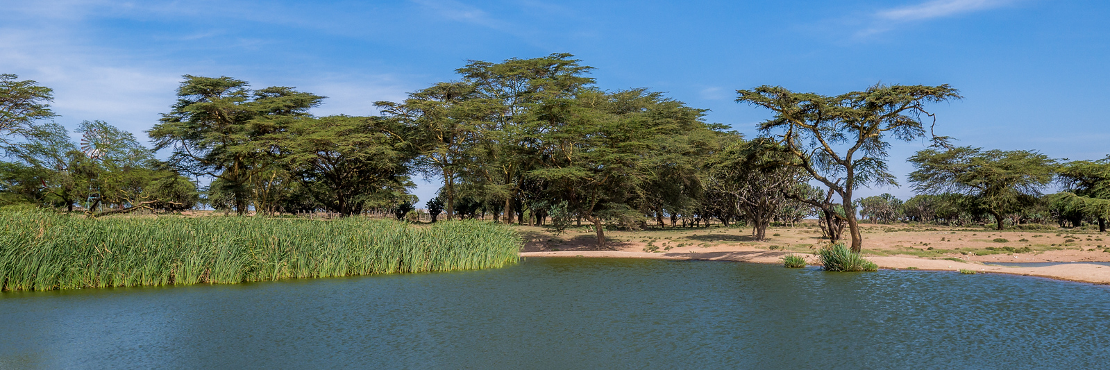 The lake near Maji Moto, Kenya.