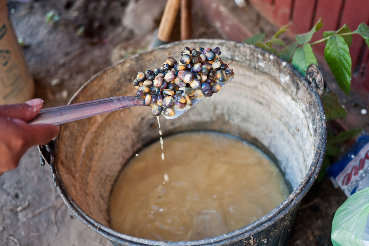 Soaking blue corn kernels