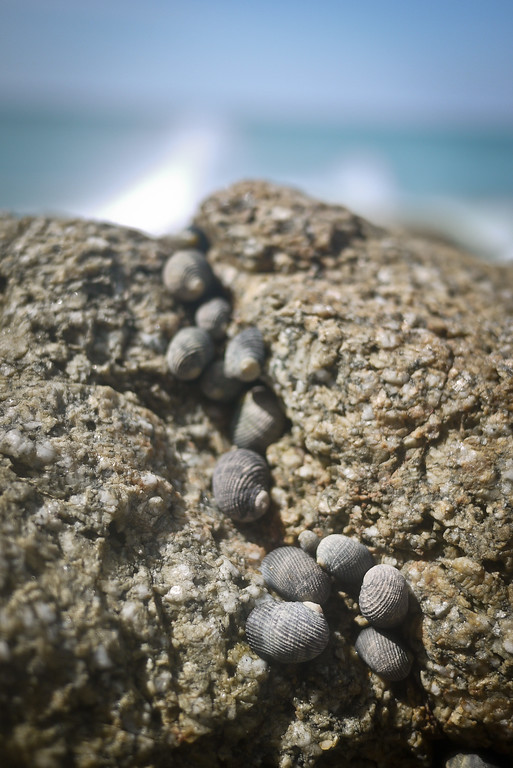 a mud beach in near San Pancho, Mexico