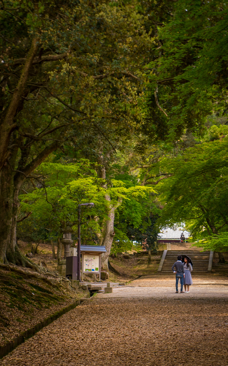 park in nara