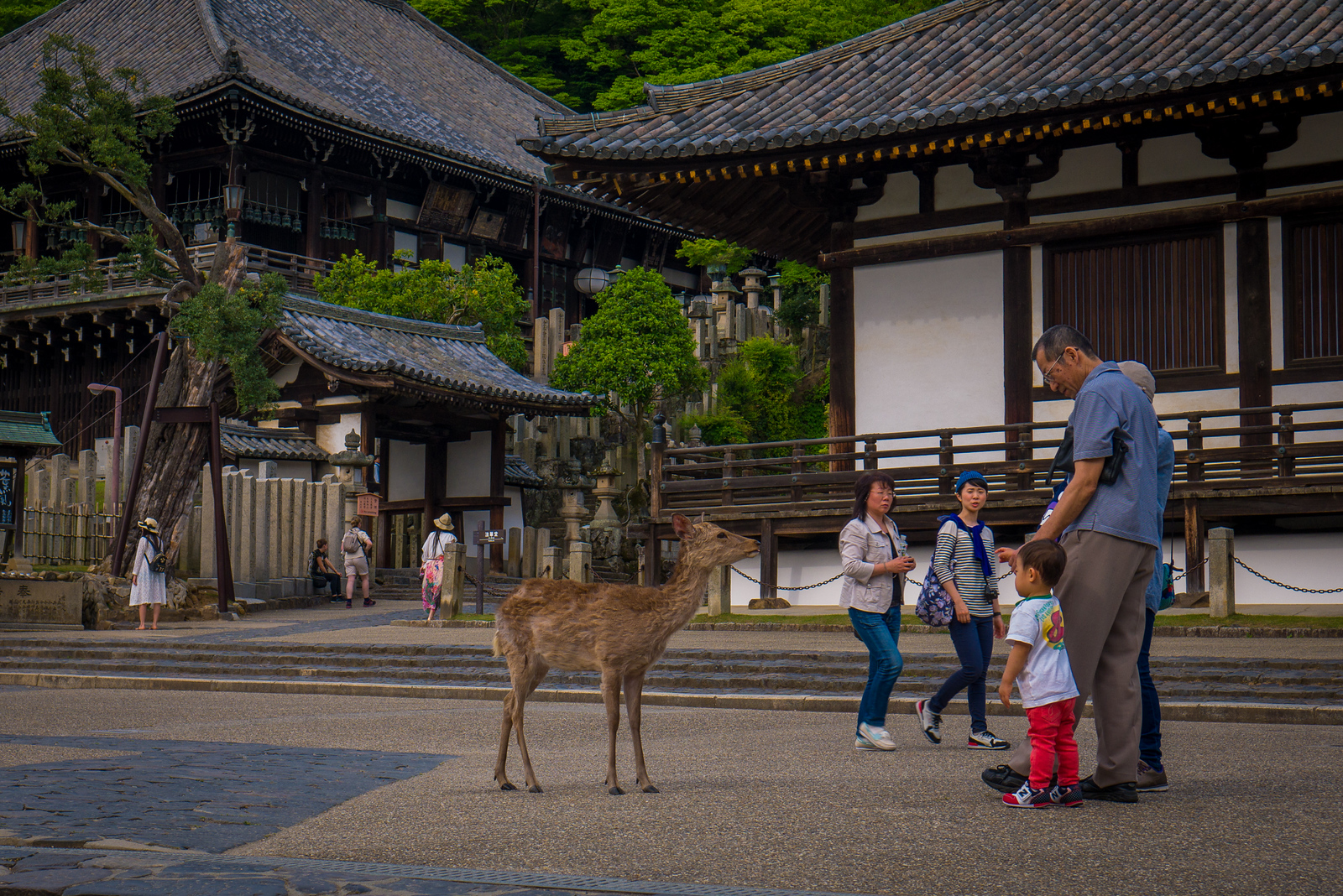 nara japan