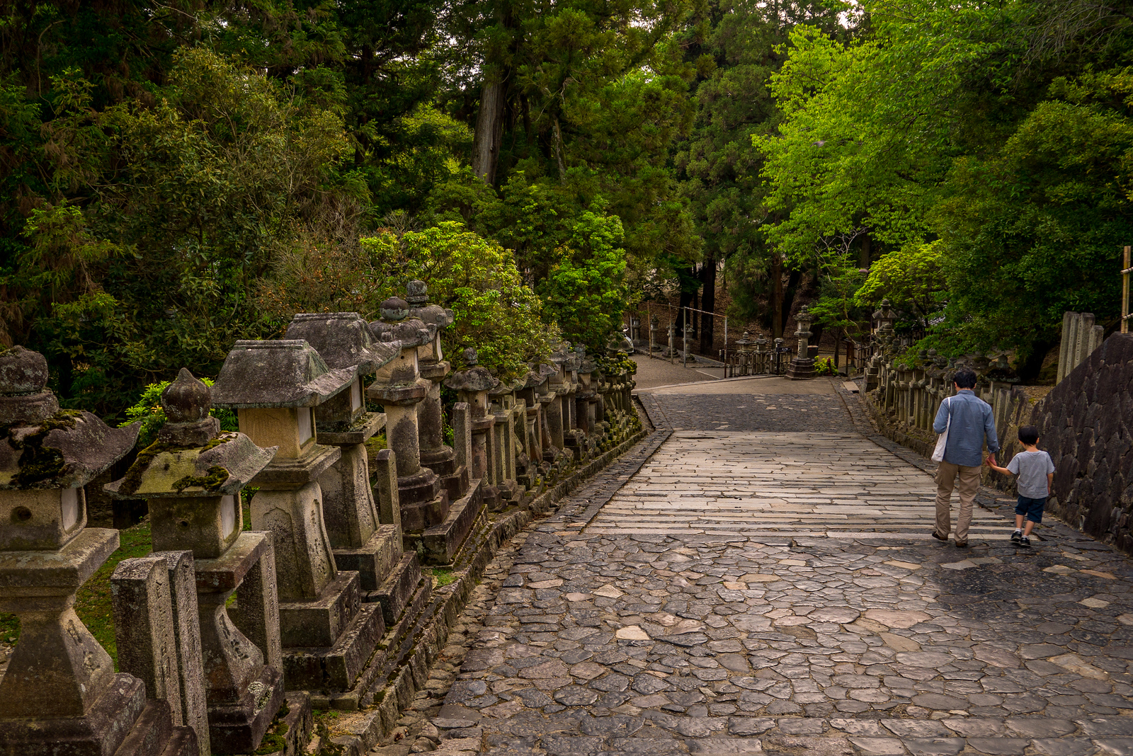 Kasuga-taisha Shrine