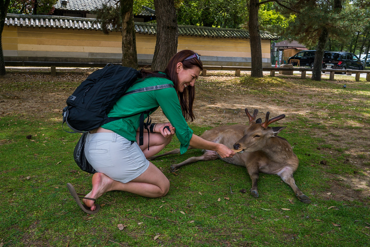 Feeding the adorable bowing deer!