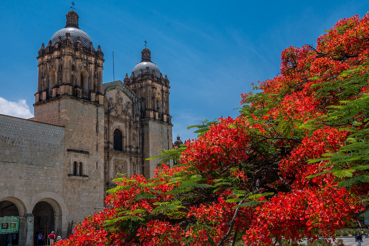 Church of Santo Domingo de Guzmán in the city center of Oaxaca