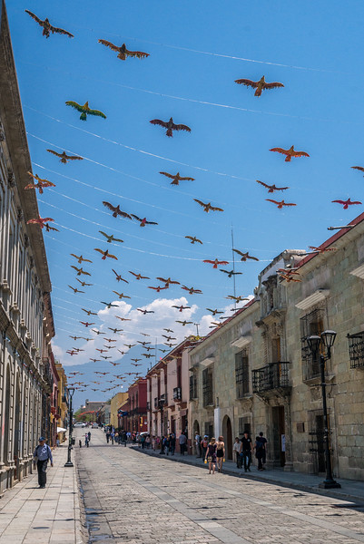 Oaxaca's alcalá walking street 