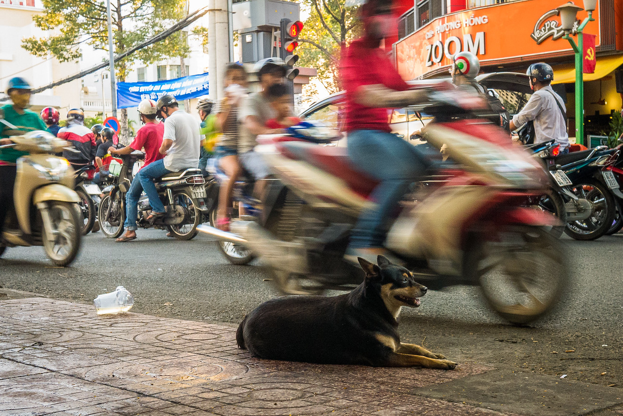motorbikes streets of saigon, vietnam