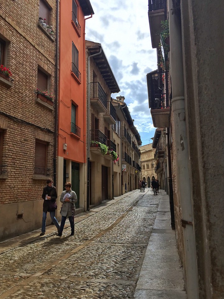 Estella-Lizarra, rural Spain