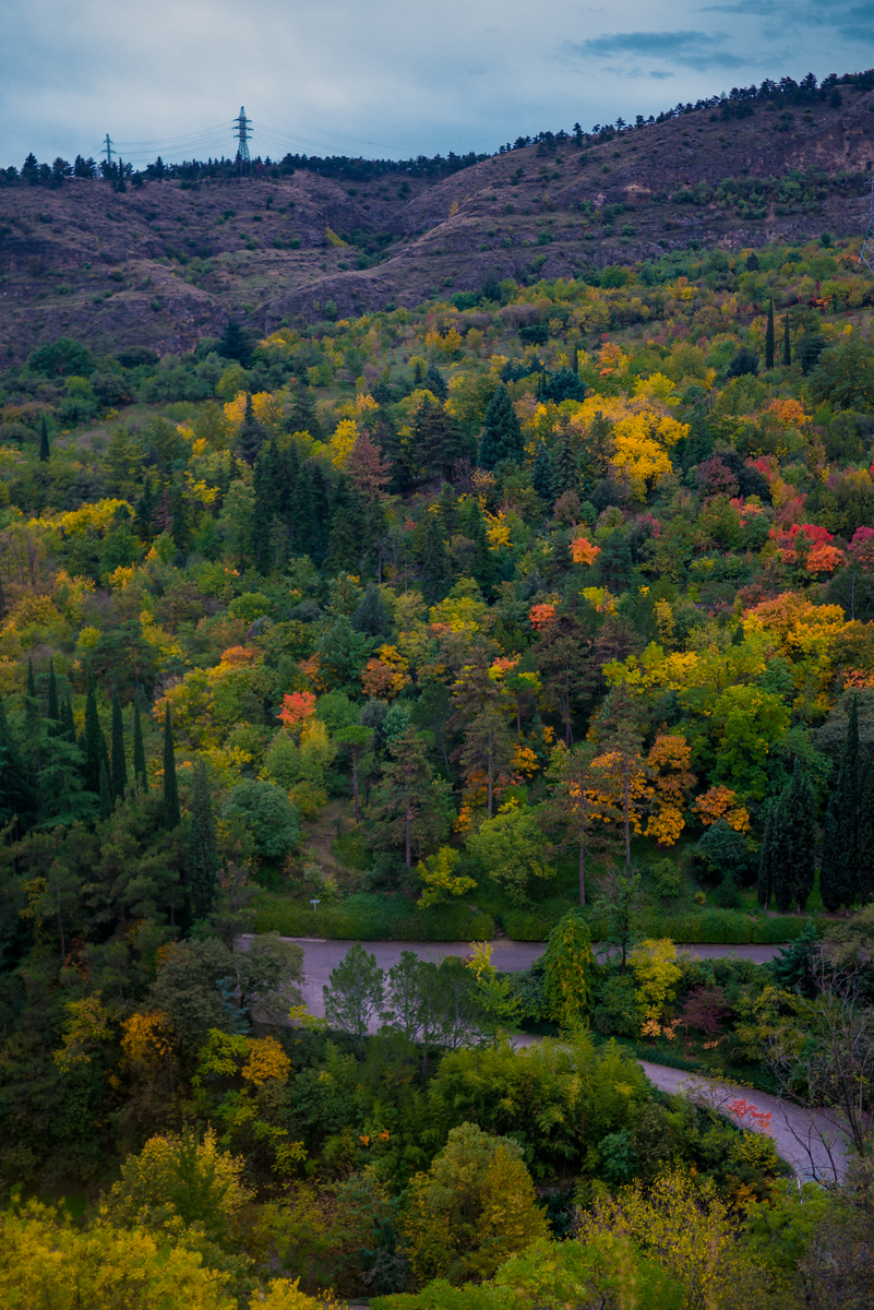 Views of the fall colors in Georgia