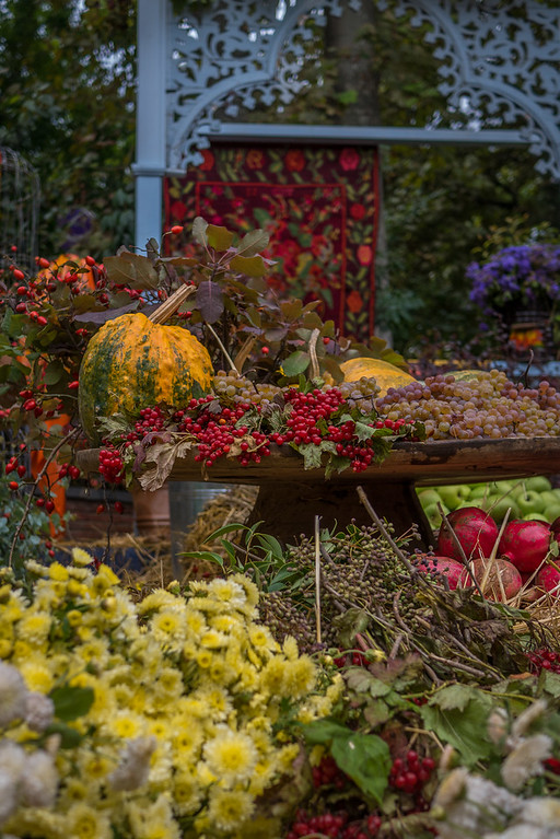 fresh harvest vegetables in Tbilisi