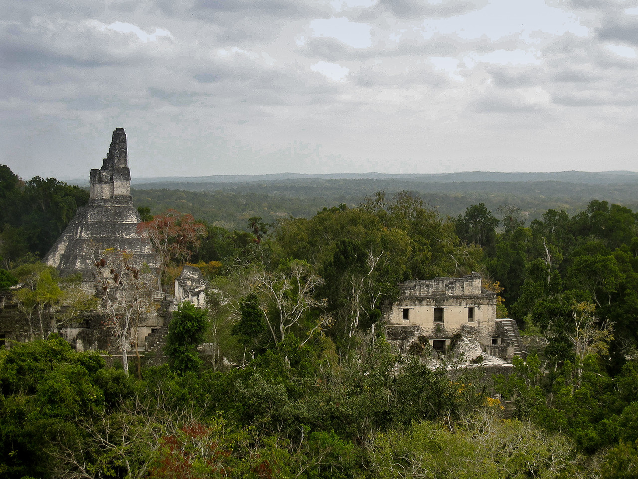 Tikal vs Copan Ruins