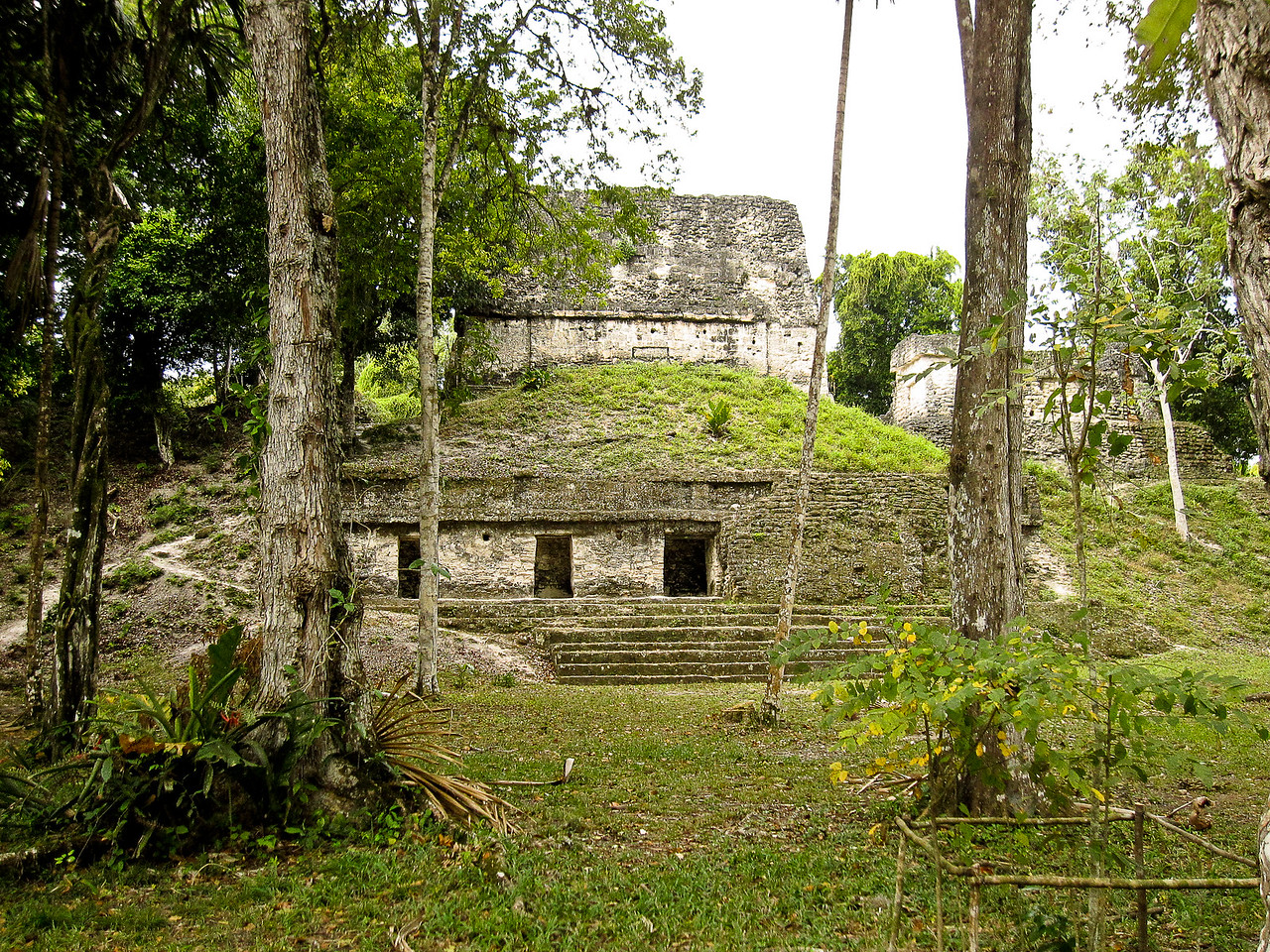 tikal ruins while traveling in guatemala are buried by the jungle