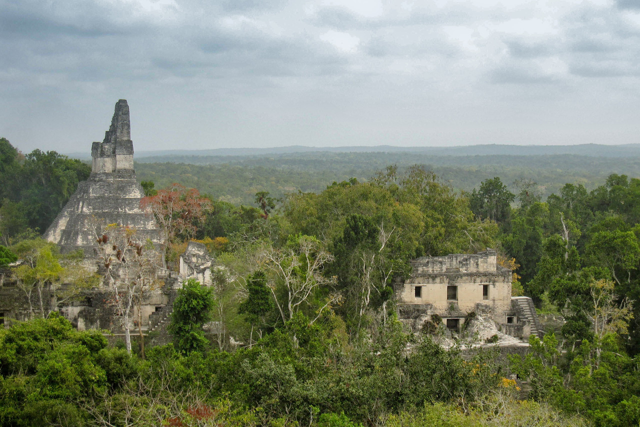The view over the Tikal Ruins in far northern Guatemala.