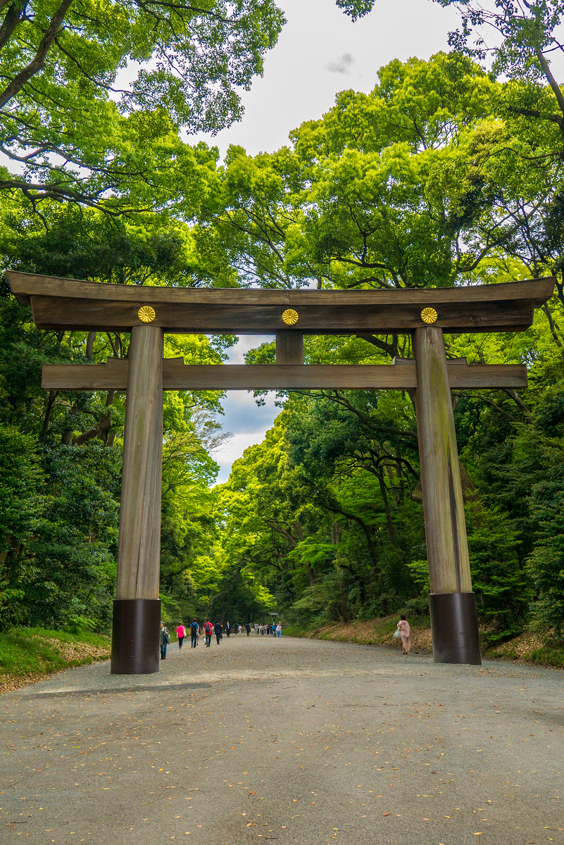 Yoyogi Park Torii Gate to enter Meiji Shrine 明治神宮