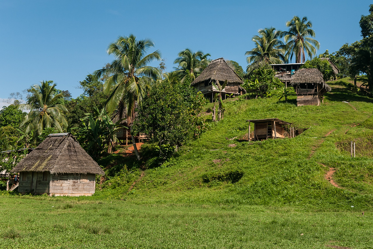 urari plantation Chiriquí
