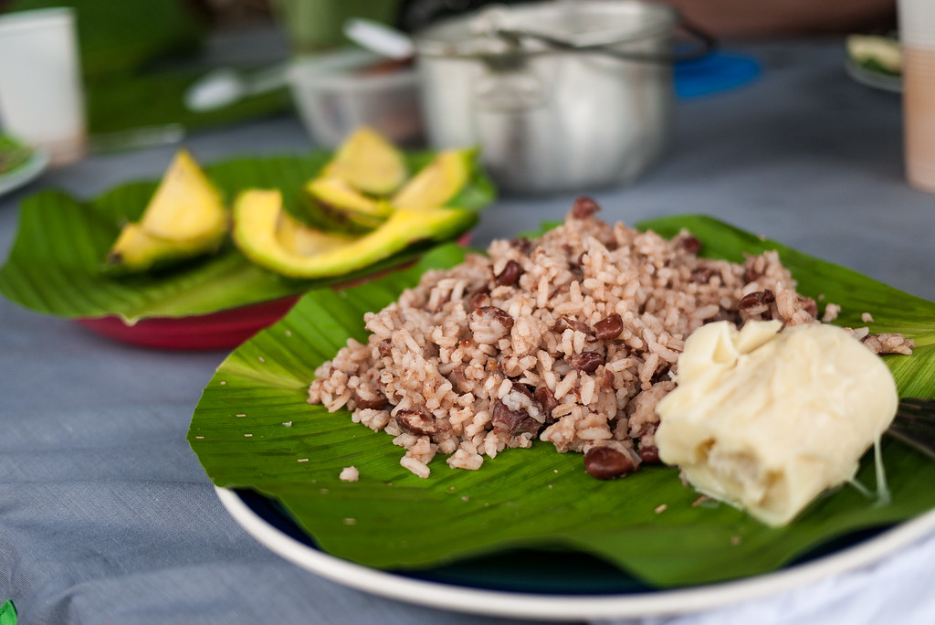 A delicious lunch of coconut rice, fresh avocado, and hearts of palm (and chicken for the meat eaters).