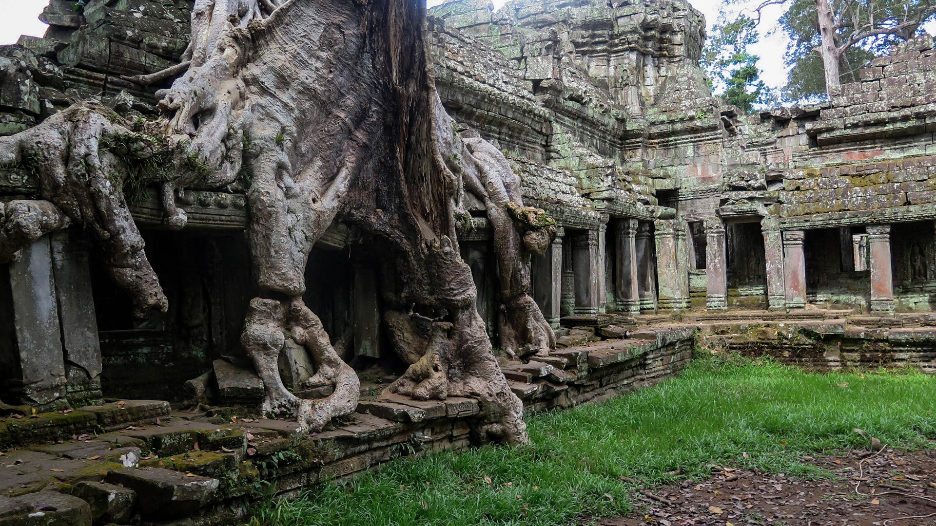 Angkor Wat, Cambodia tah phrom