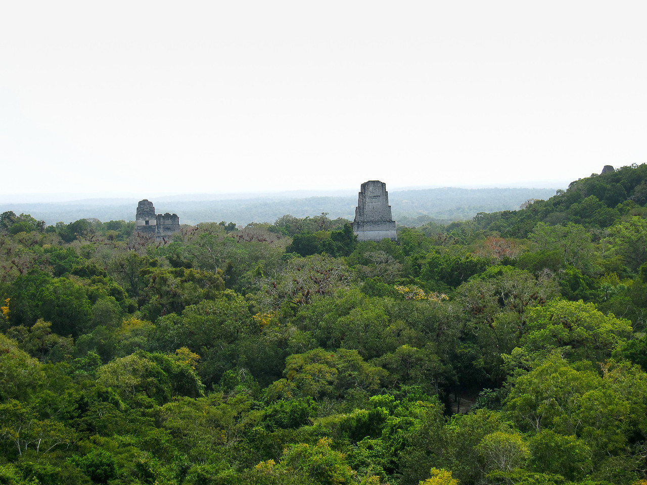 Sweeping views from the top of a temple 5 (V) at Tikal