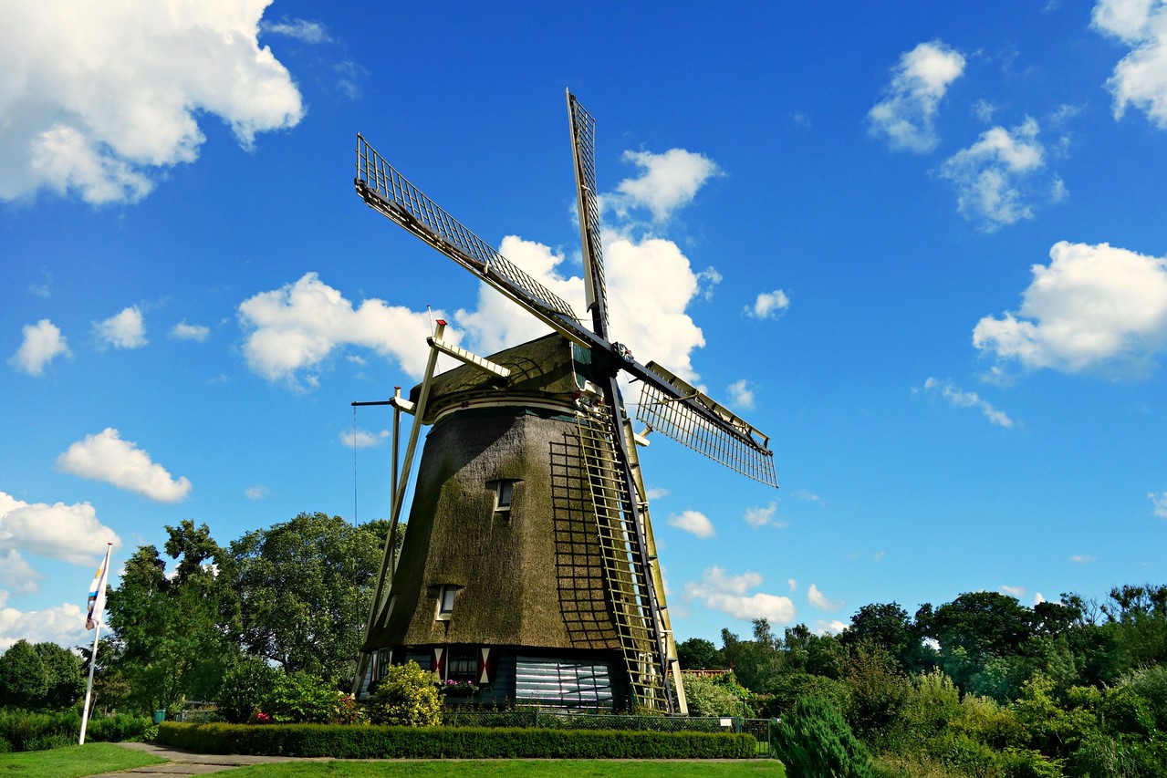 windmills in near amsterdam