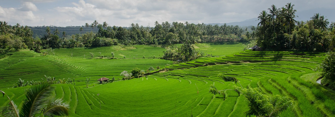 should you move to bali?